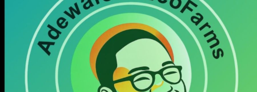Cover image of Adewale Ecofarms, Agribusiness venture on VC4A