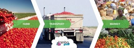 Venture Profile Taimba Limited image of X