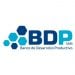 Partner Organization BDP Lab image of N