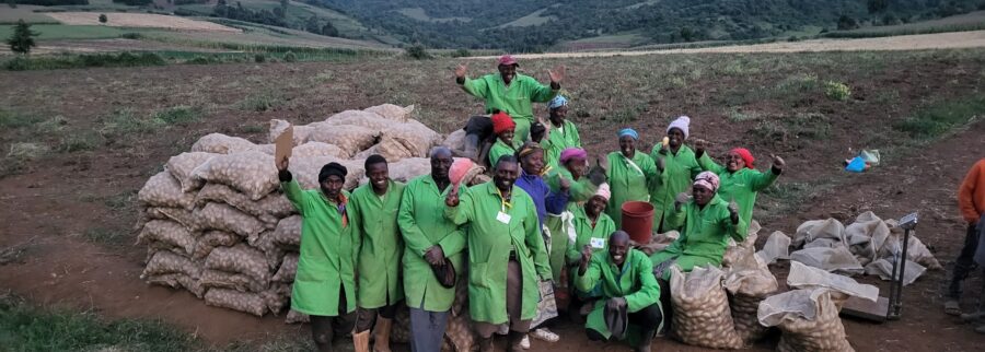 Cover image of Global South Holding GmbH, Kiazi Mfalme Ltd., Agribusiness venture on VC4A