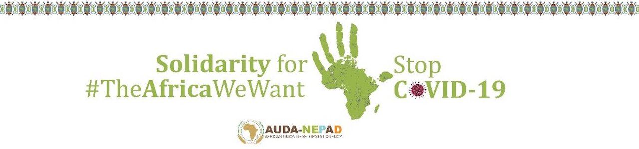 AUDA-NEPAD