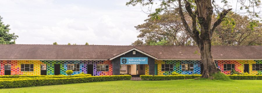 Cover image of Silverleaf Academy, Educational services venture on VC4A