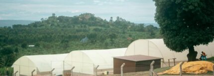 Venture Profile Marula Proteen Ltd. image of Bild