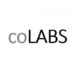 Partner Organization Gray Matters Capital / coLABS image of Colabs Logo