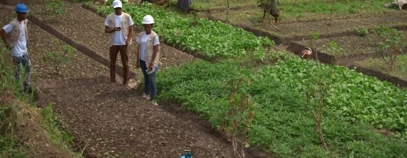 Cover image of ESRUD Agritech SAS, Agribusiness venture on VC4A