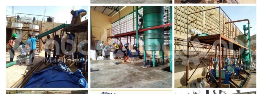 Cover image of Ollystar Global Investment Ltd, Agribusiness venture on VC4A