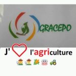 Venture Profile Gracepo image of IMG
