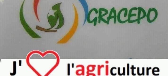 Cover image of Gracepo, Animal farming venture on VC4A