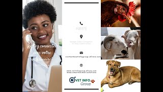 Vet Info Group