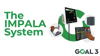 Goal 3
