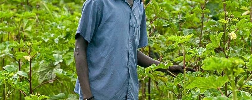Cover image of Werkok-Agric. Ltd, Animal farming venture on VC4A
