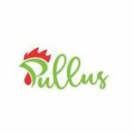 Venture Profile Pullus Africa Solutions Ltd image of Pullus Africa Logo