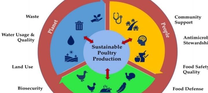 Cover image of Timtra Poultry Farm Limited, Agribusiness venture on VC4A
