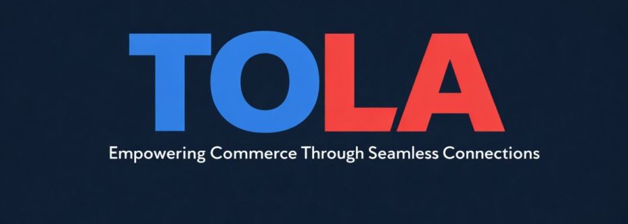 Cover image of Dan'G GROUP OF Companies Limited T/A TOLA, E-commerce venture on VC4A