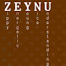 Profile picture of Zeynu Arega