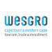 Partner Organization WESGRO image of Wesgro