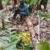Profile picture of Patrick Gichunge Kimaita