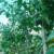 Profile picture of Njoya Simon