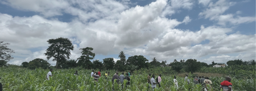 Cover image of Sinc.Earth, Agribusiness venture on VC4A