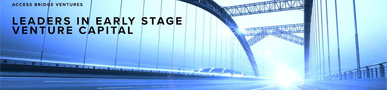Access Bridge Ventures