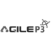 Partner Organization Agile P3 image of Agile