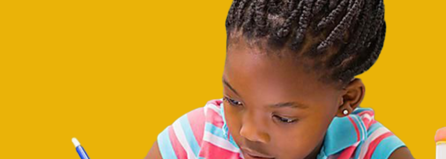 Cover image of Revelateur TOGO SA, Cloud solutions venture on VC4A