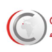 Partner Organization Casablanca Finance City image of Casa Logo