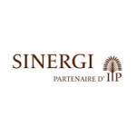 Partner Organization Sinergi Niger image of Download