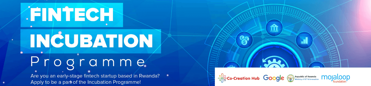 Fintech Innovation Program