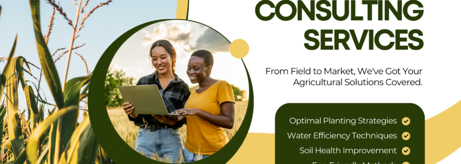 Cover image of Welo Ranch (U) Ltd, Agribusiness venture on VC4A