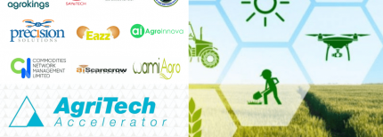 Post Profile 10 Agribusiness Startups selected to participate in AgriTech Investment Readiness Accelerator image of Innohub