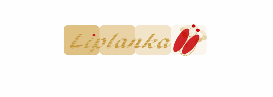 Cover image of Liplanka, Educational services venture on VC4A