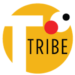Partner Organization TechTribe Accelerator image of Logotechtribe