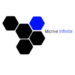 Venture Profile Micrive Infinite Limited image of Micrive Infinite Limited Logo