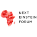 Partner Organization Next Einstein Forum image of Nef Logo