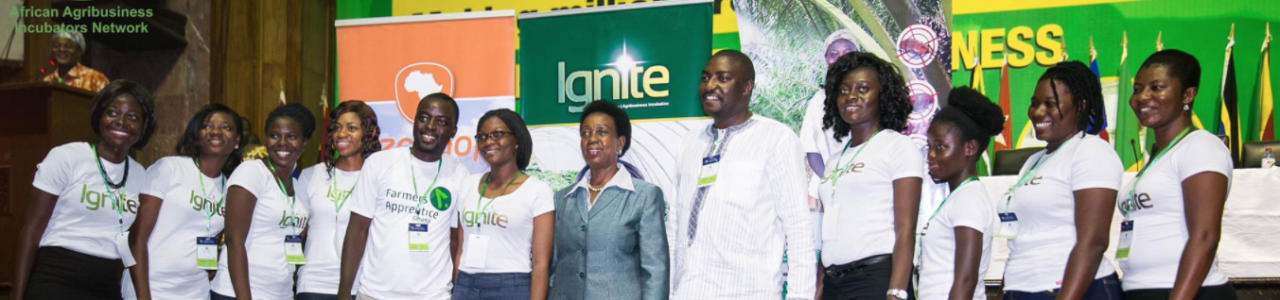 African Agribusiness Incubators Network (AAIN)