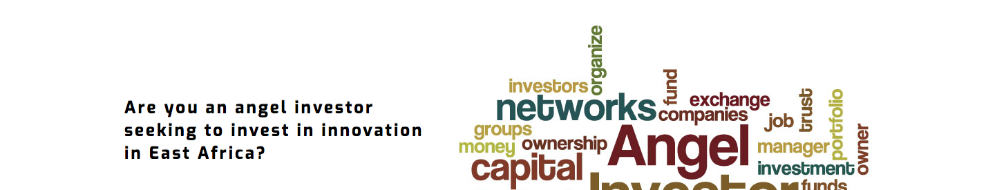 Viktoria Business Angel Network