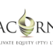 Partner Organization Acorn Private Equity image of Screen Shot At