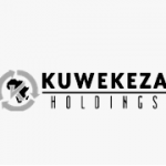 Partner Organization Kuwekeza Holdings image of Screenshot At