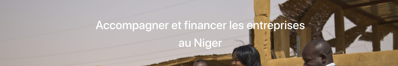 Sinergi Niger