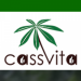 Venture Profile CassVita image of Screenshot At