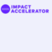 Partner Program 100X Impact Accelerator 2025 image of Screenshot At