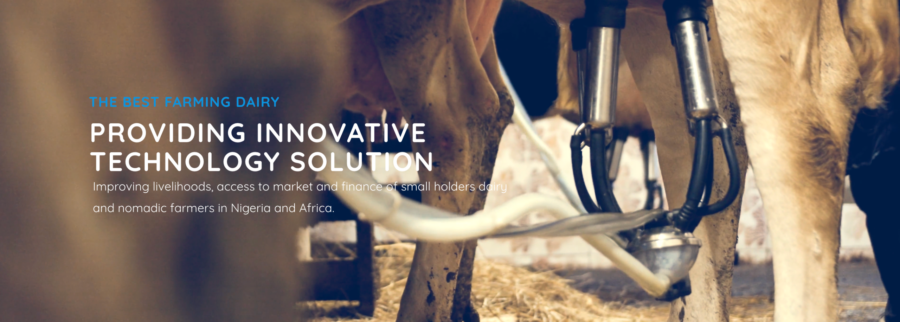 Cover image of mDairy, Agribusiness venture on VC4A