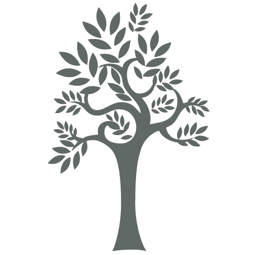 Partner Organization Silvertree Internet Holdings image of Tree Image Square Silver