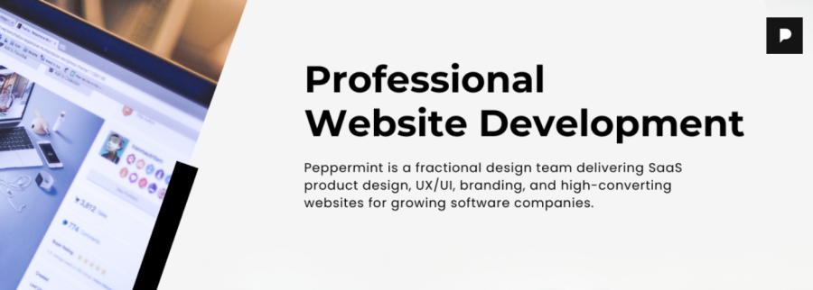 Cover image of Peppermint, Creative, media and entertainment venture on VC4A